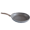 panvice