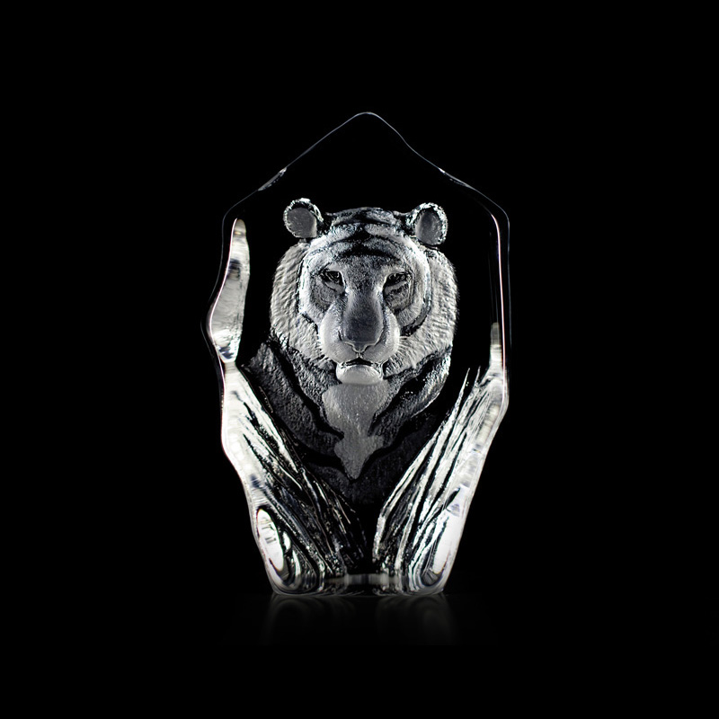 Tiger - 33686
